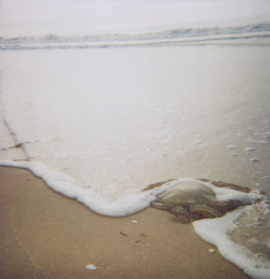 autor: paulo rodrigues