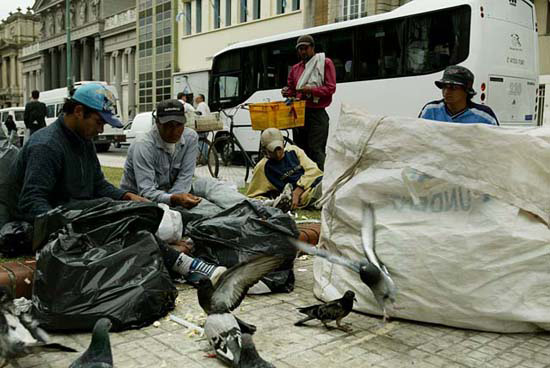 autor: João  Carvalho Pina