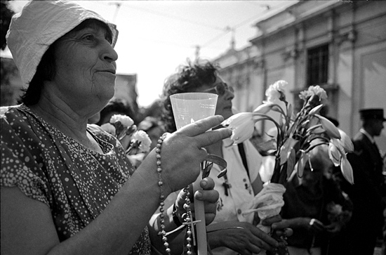 autor: Sofia Quintas