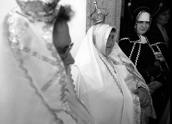 autor: Manuel Luís Cochofel