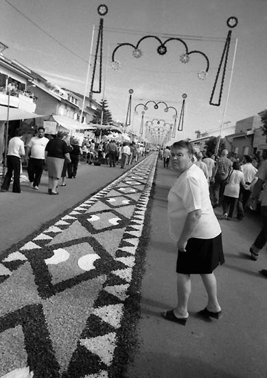 autor: Manuel Luís Cochofel