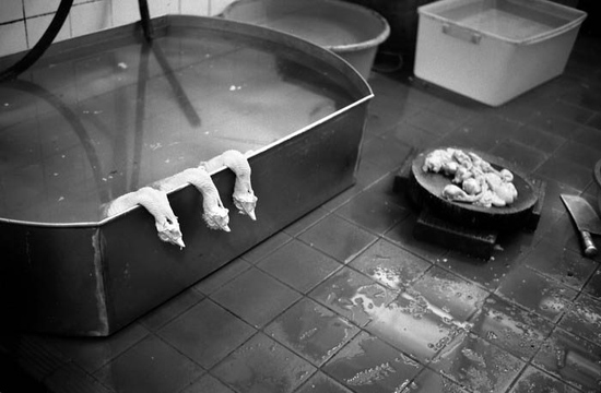 autor : Pedro Guimarães                    