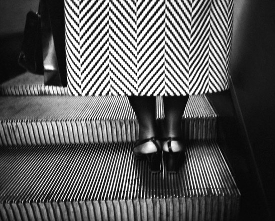 author : Manuel Luís Cochofel                    