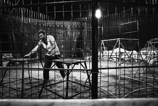 autor: paulo rodrigues