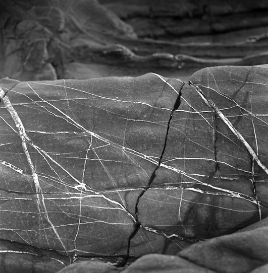 autor: Manuel Luís Cochofel