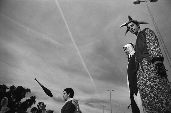 autor : Manuel Luís Cochofel                    