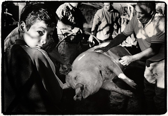 autor : Stefan Rohner                    t&iacute;tulo: 7