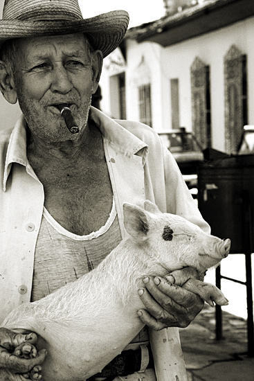 autor : Stefano Levi                    t&iacute;tulo: Old Farmer with sleeping pig