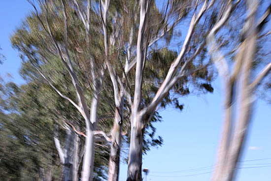 autor: Sofia Quintas