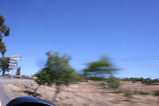 autor: Sofia Quintas