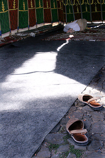 author : Sofia Quintas                    