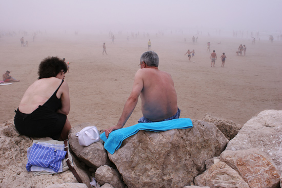 autor: Sofia Quintas