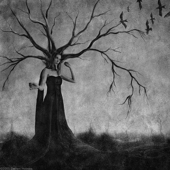 autor: Darren Holmes
t&iacute;tulo: All These I Adore