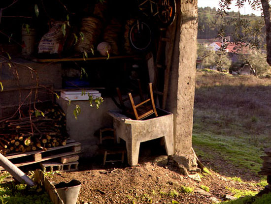 autor: Rui Dias Monteiro