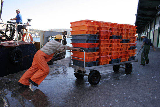 autor: Sofia Quintas