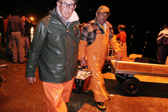 autor: Sofia Quintas