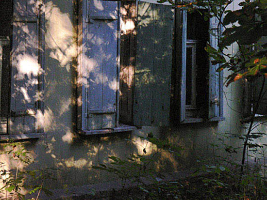 author : Alain-Gilles Bastide                    