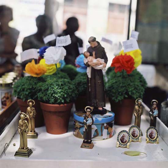 auteur: José Gonçalves