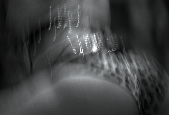 author: Manuel Luís Cochofel