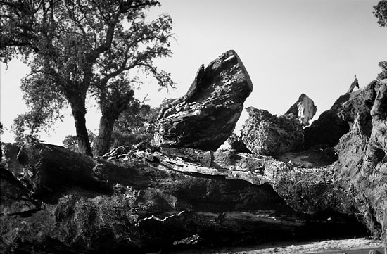 autor: Marcin Gorski