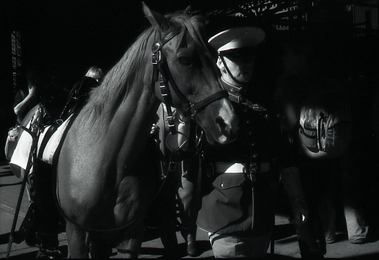 autor: Manuel Luís Cochofel