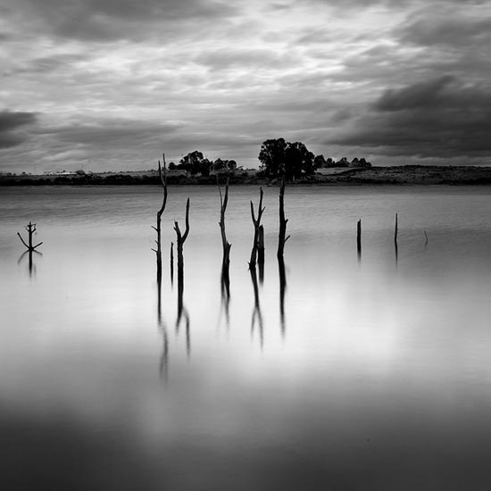 autor: Carlos Matos
t&iacute;tulo: estruturas&coberturas I