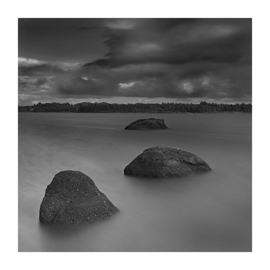 autor: Carlos Matos
t&iacute;tulo: estruturas&coberturas-XXI