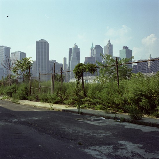 author: Rui Dias Monteiro