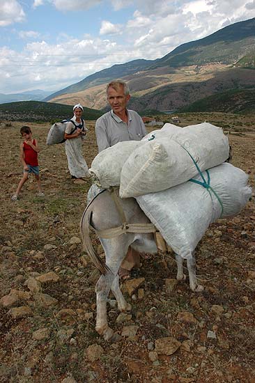 autor: Yves Rousselet
t&iacute;tulo: Famille d