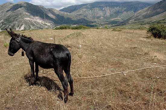 autor: Yves Rousselet
t&iacute;tulo: Compagnon indispensable de beaucoup de métiers