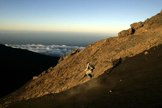 autor: Luis Filipe Catarino