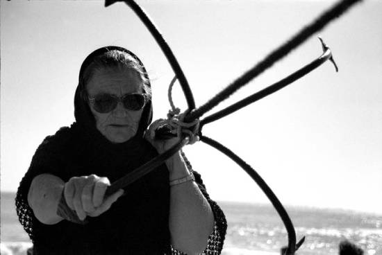 author : Sofia Quintas                    