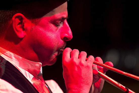 autor: Mário Pires
t&iacute;tulo: Actores Alidos