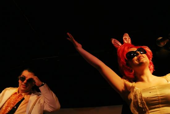 author : Sofia Quintas                    