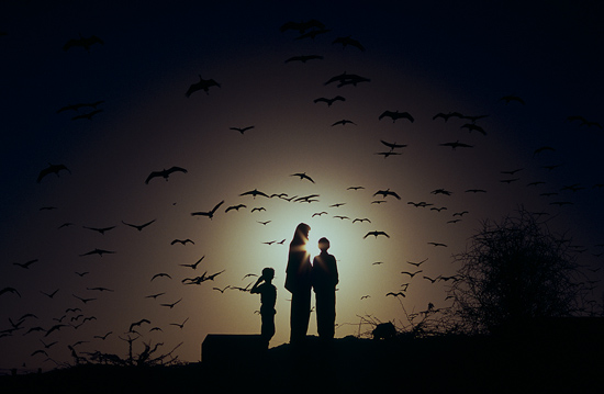 autor: Dariusz Klemens