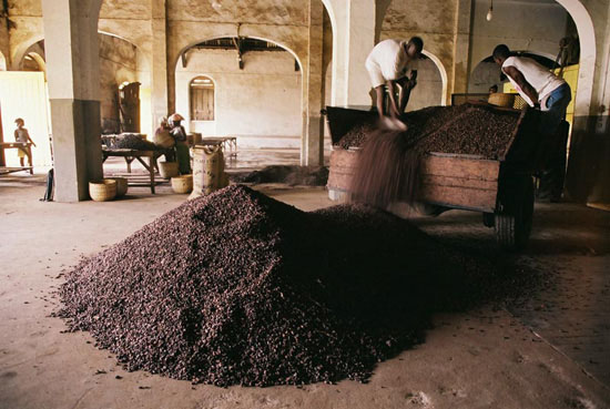 autor: Tânia Araújo