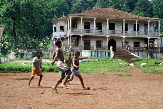 autor: Tânia Araújo