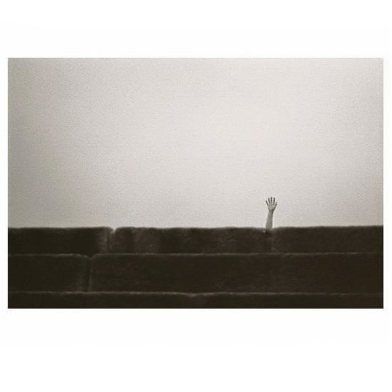 autor: Fernando Gabriel