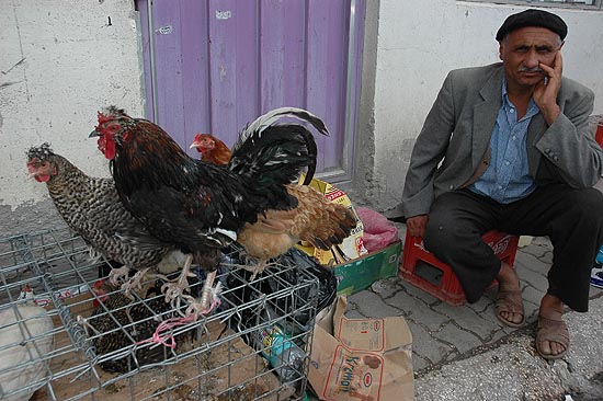 autor: Yves Rousselet
t&iacute;tulo: Vendeur de volailles sur le marché