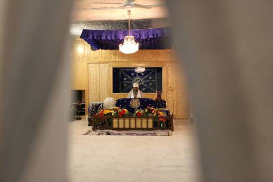 autor : Sofia Quintas                    