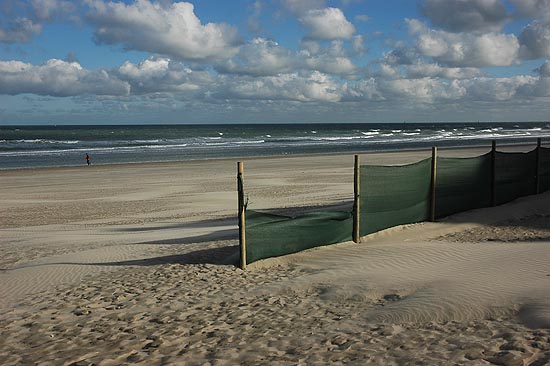 autor: Yves Rousselet
t&iacute;tulo: Jogger matinal sur la plage