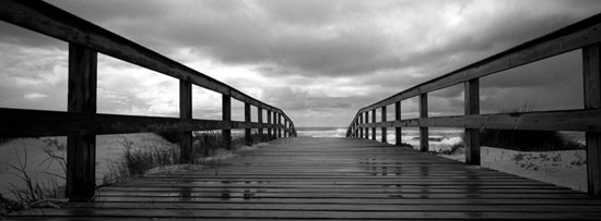 autor: Luísa Ferreira