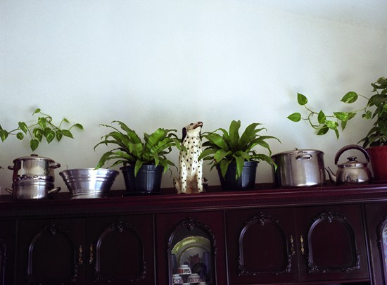 autor : Rui Dias Monteiro                    