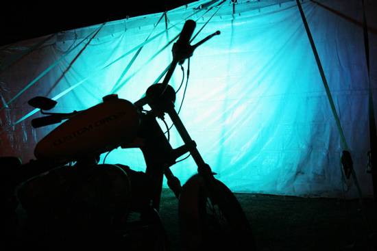 autor: Sofia Quintas