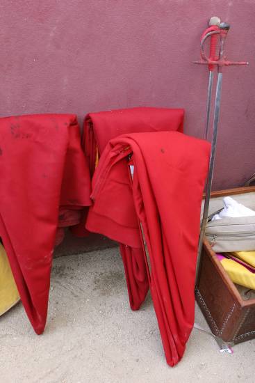 author: Sofia Quintas