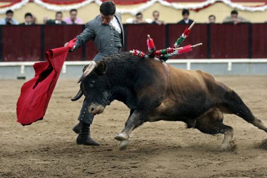 autor: Sofia Quintas