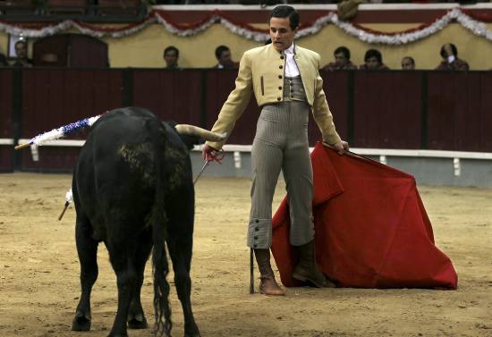 auteur : Sofia Quintas                    