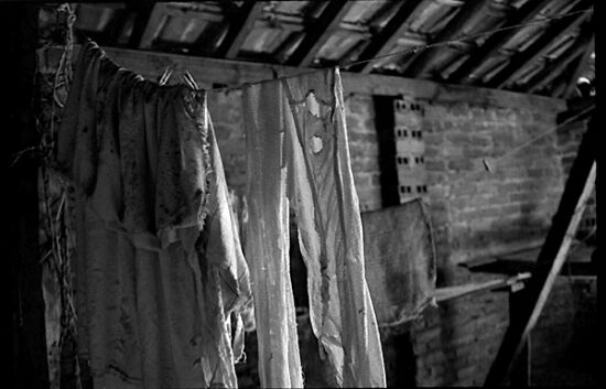 autor: Sofia Quintas
t&iacute;tulo: #5