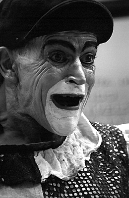 autor: Sofia Quintas