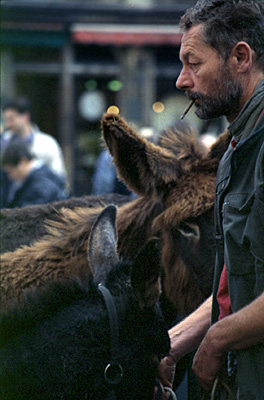 autor: paulo rodrigues